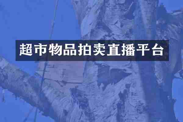 超市物品拍卖直播平台