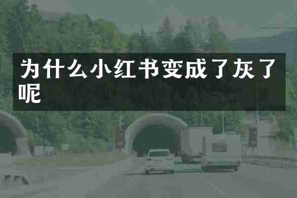 为什么小红书变成了灰了呢