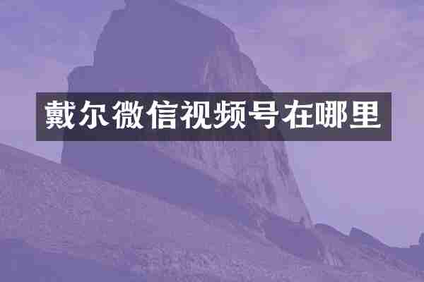 戴尔微信视频号在哪里