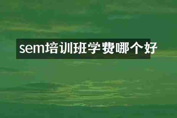 sem培训班学费哪个好
