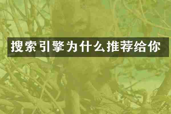 搜索引擎为什么推荐给你
