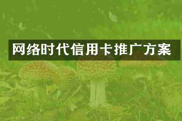 网络时代信用卡推广方案