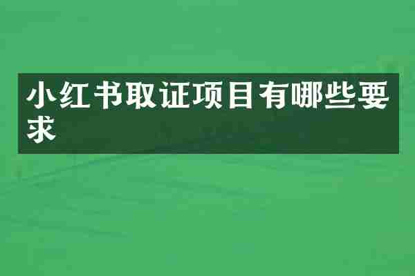 小红书取证项目有哪些要求