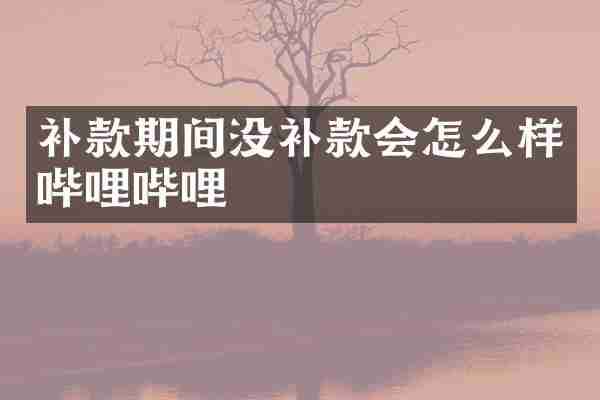 补款期间没补款会怎么样哔哩哔哩