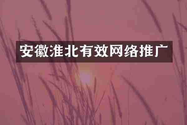 安徽淮北有效网络推广