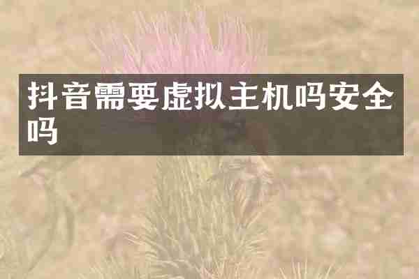 抖音需要虚拟主机吗安全吗