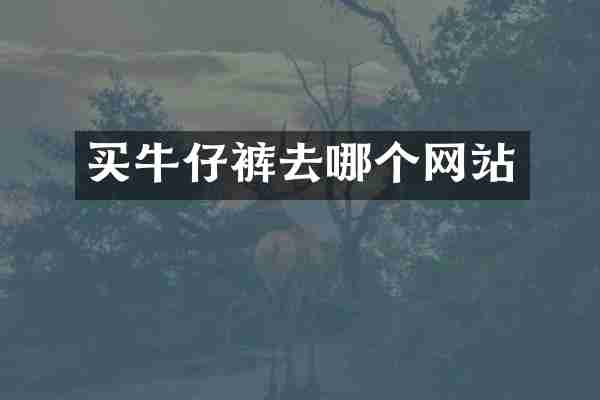 买牛仔裤去哪个网站