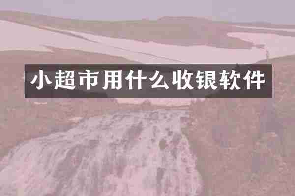 小超市用什么收银软件