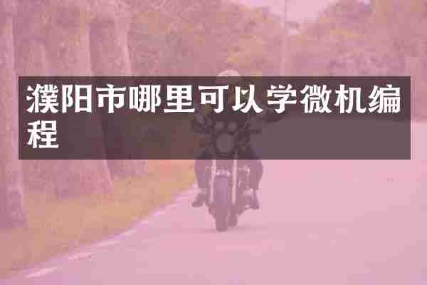 濮阳市哪里可以学微机编程
