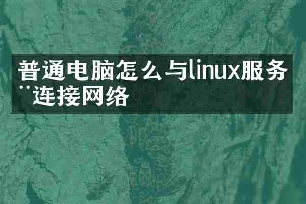 普通电脑怎么与linux服务器连接网络