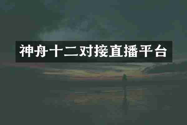神舟十二对接直播平台