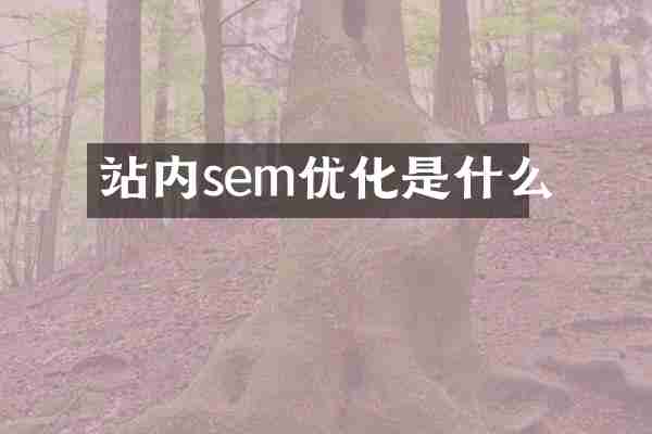 站内sem优化是什么