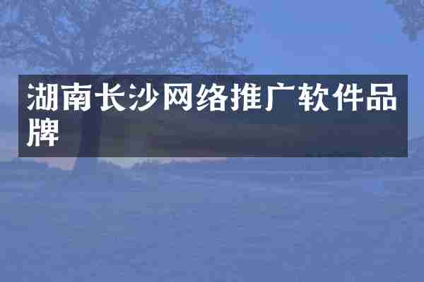 湖南长沙网络推广软件品牌