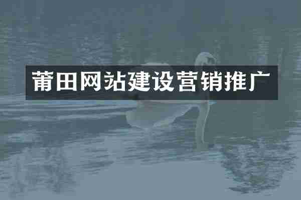 莆田网站建设营销推广