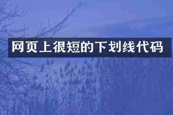 网页上很短的下划线代码