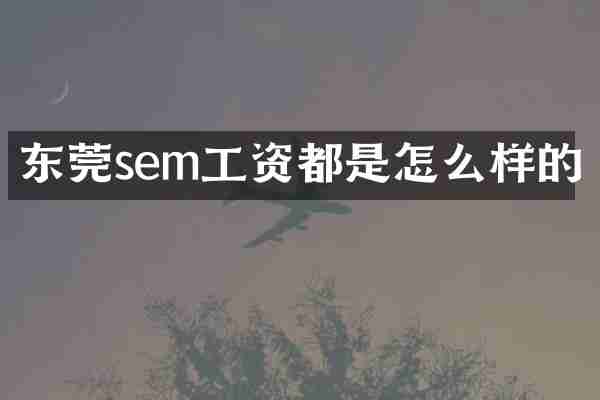 东莞sem工资都是怎么样的