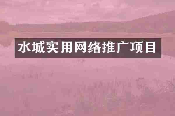 水城实用网络推广项目