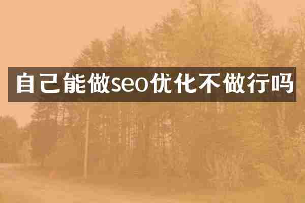 自己能做seo优化不做行吗