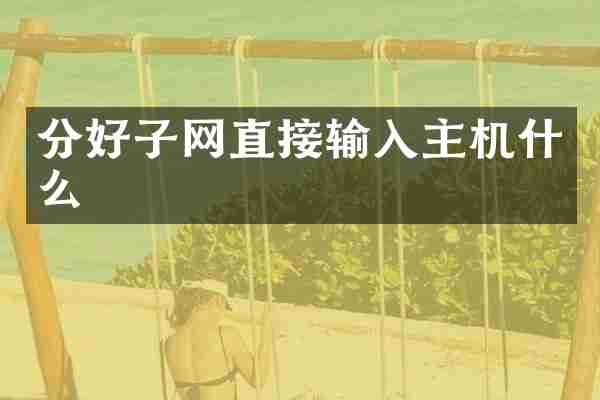 分好子网直接输入主机什么