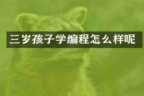 三岁孩子学编程怎么样呢