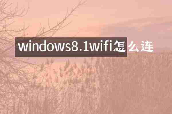 windows8.1wifi怎么连