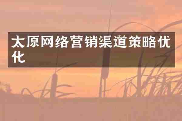 太原网络营销渠道策略优化