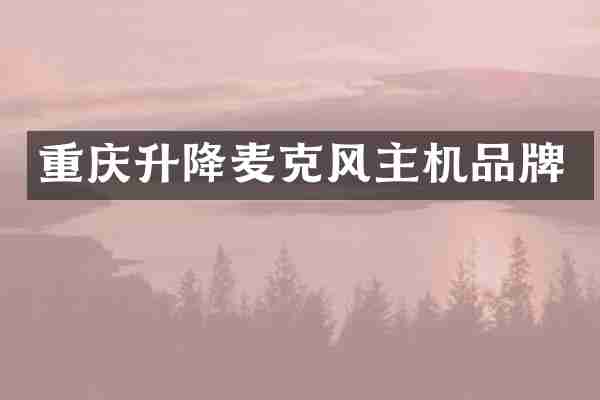 重庆升降麦克风主机品牌