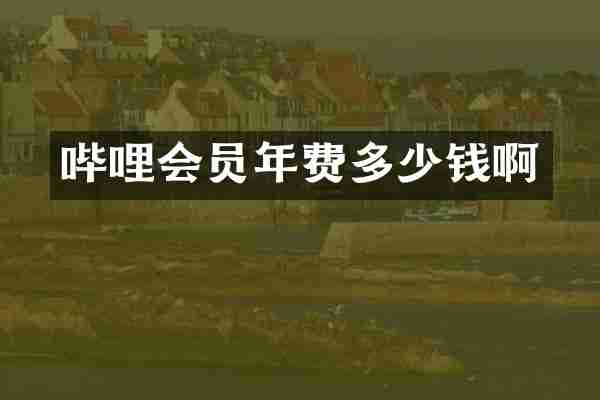 哔哩会员年费多少钱啊