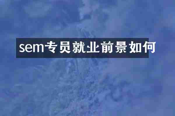 sem专员就业前景如何
