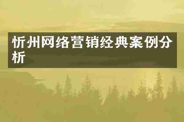 忻州网络营销经典案例分析
