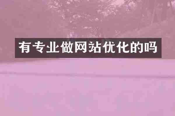 有专业做网站优化的吗