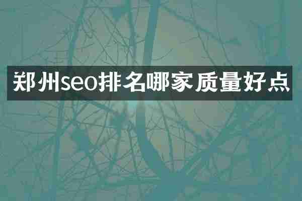 郑州seo排名哪家质量好点