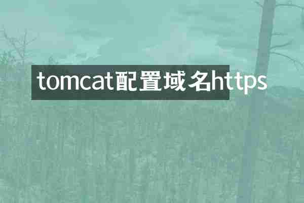 tomcat配置域名https