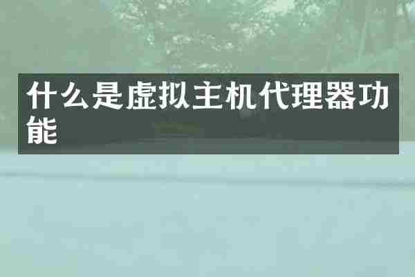 什么是虚拟主机代理器功能