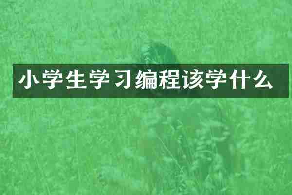 小学生学习编程该学什么