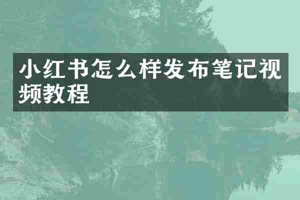 小红书怎么样发布笔记视频教程