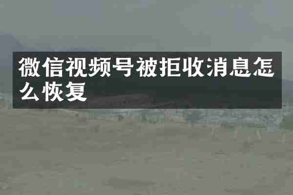 微信视频号被拒收消息怎么恢复