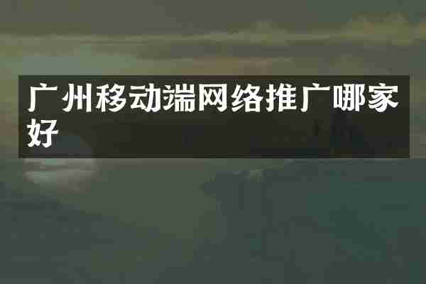 广州移动端网络推广哪家好