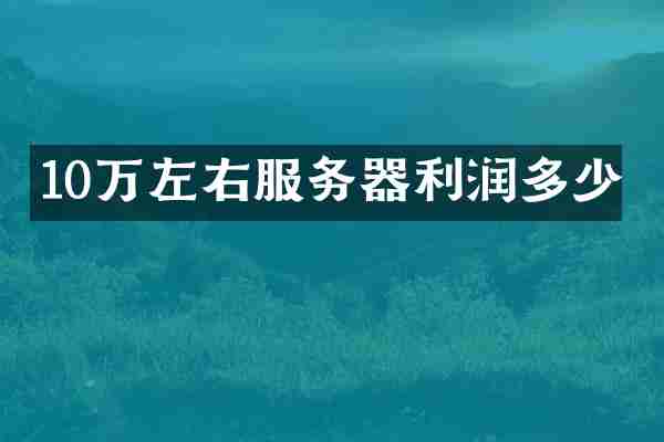 10万左右服务器利润多少