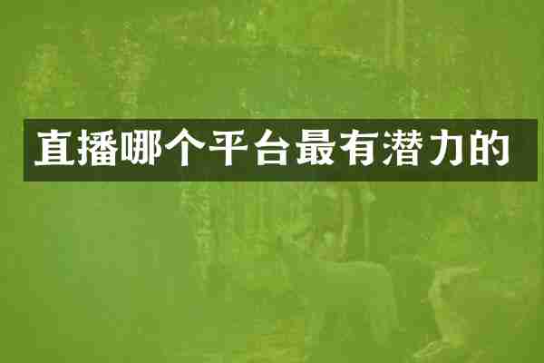 直播哪个平台最有潜力的