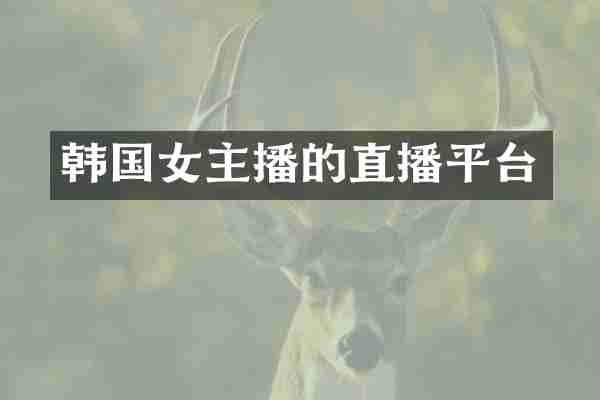 韩国女主播的直播平台