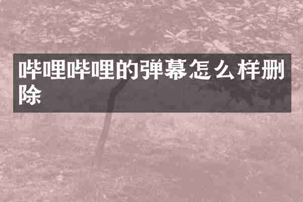 哔哩哔哩的弹幕怎么样删除