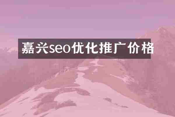 嘉兴seo优化推广价格
