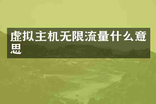 虚拟主机无限流量什么意思