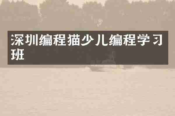 深圳编程猫少儿编程学习班