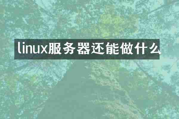 linux服务器还能做什么