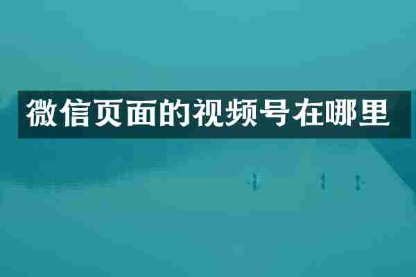 微信页面的视频号在哪里