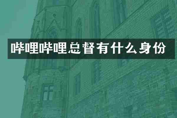 哔哩哔哩总督有什么身份