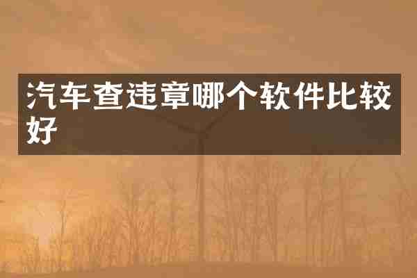 汽车查违章哪个软件比较好