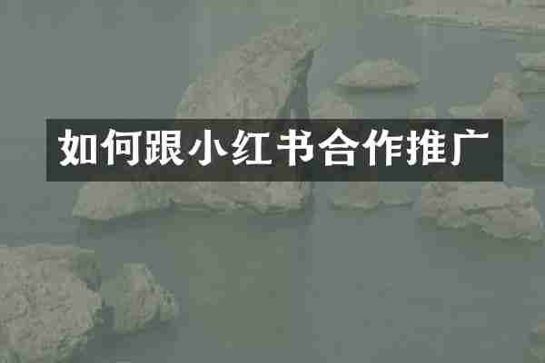 如何跟小红书合作推广